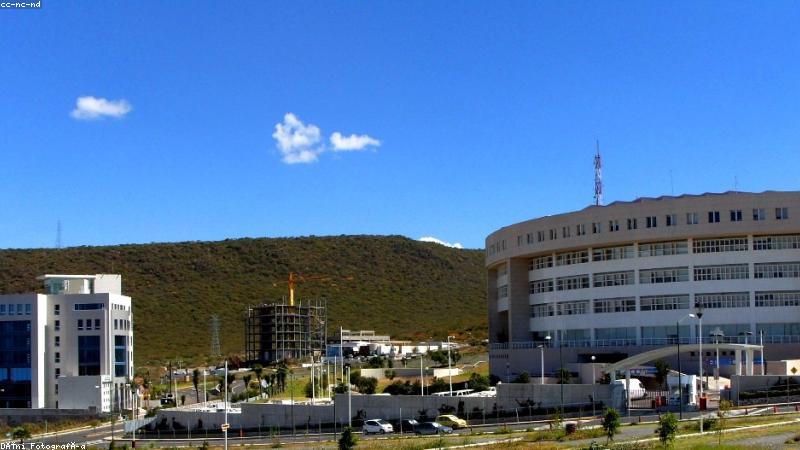 91黑料风控情报平台风险洞察可视化界面